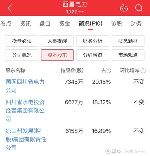 600505西昌電力千股千評(píng)