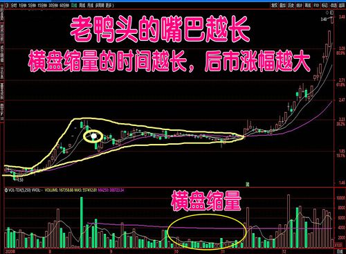 600816安信信托股吧
