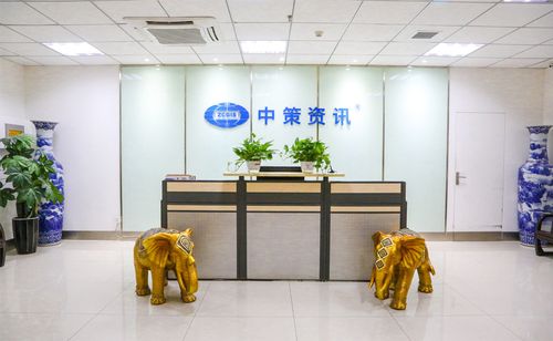 中策資訊有限責(zé)任公司