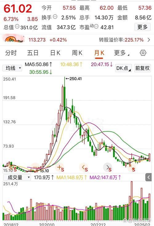 九龍山股票股價(jià)是多少
