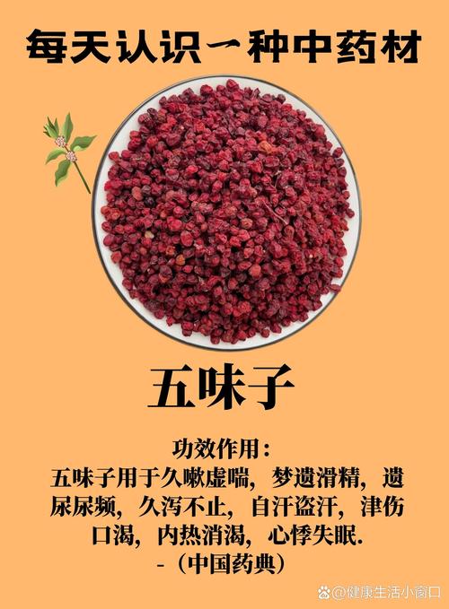 五味子功效與作用