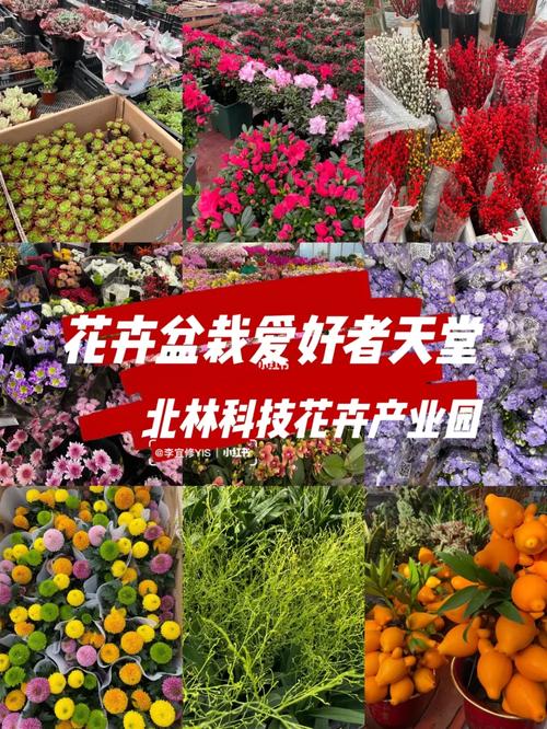 北林科技花卉產業(yè)園電話