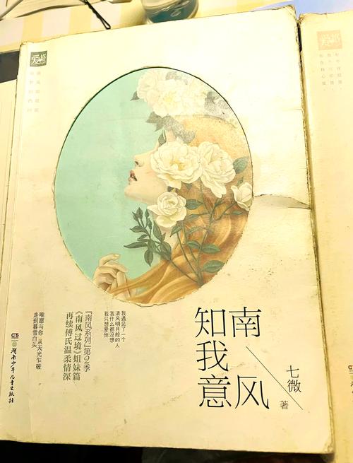南風(fēng)資本，南風(fēng)集團(tuán)