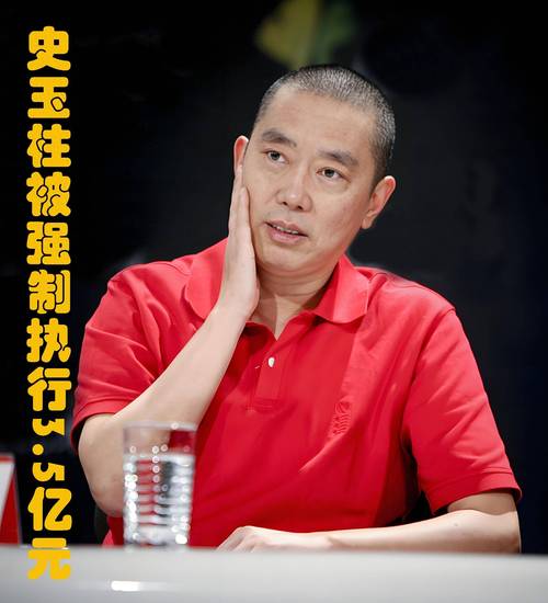 史玉柱被凍結(jié)超千萬股權(quán)