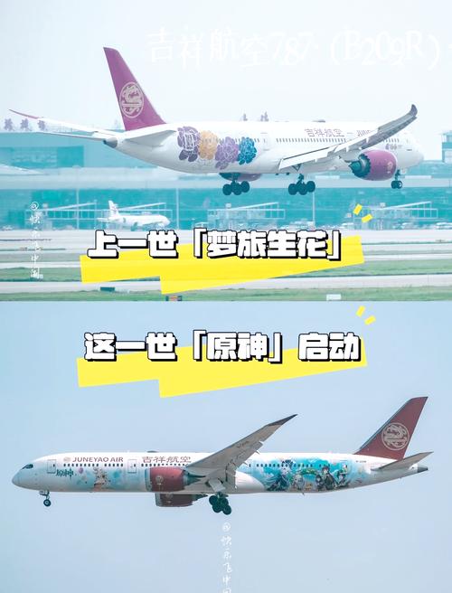 吉祥航空簡介