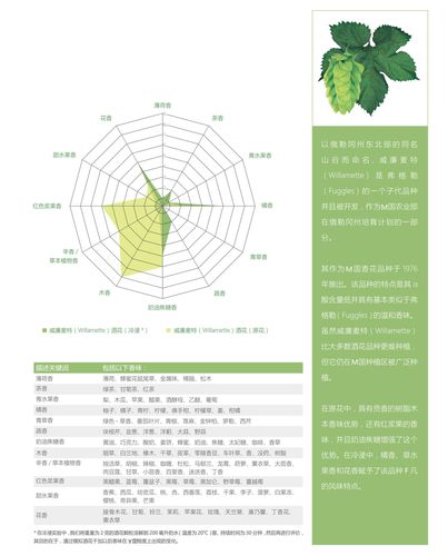 啤酒花的作用