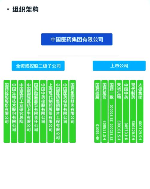 國(guó)藥股份深度分析最新
