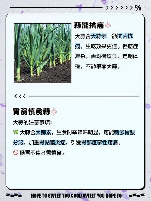 天天吃蒜對(duì)身體有什么壞處，天天釣魚