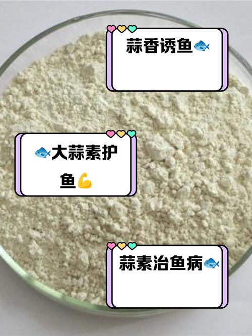 天天吃蒜對身體有什么壞處，天天釣魚
