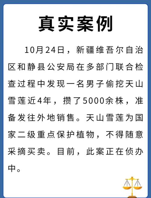 天山股份逮捕名單