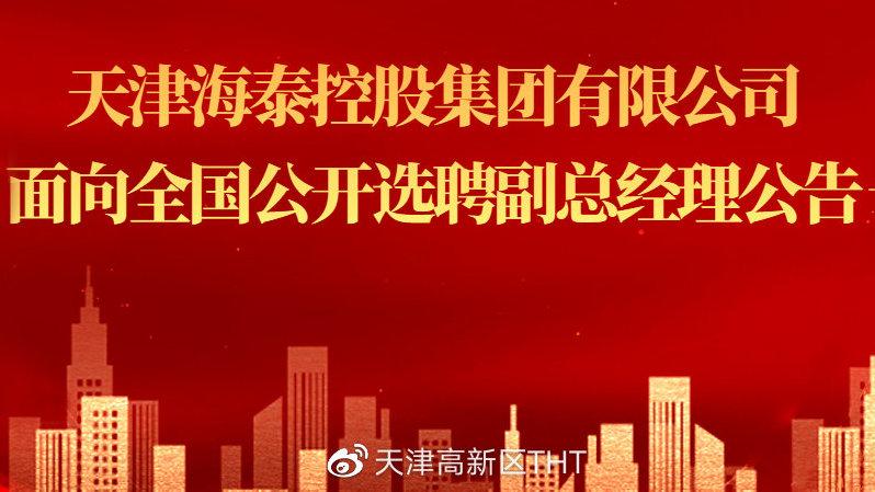天津海泰控股