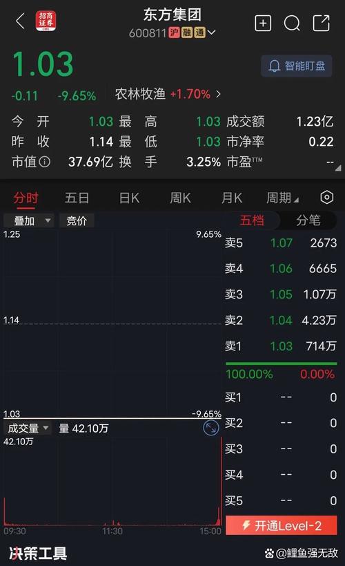 東方市場股票最高價位是多少