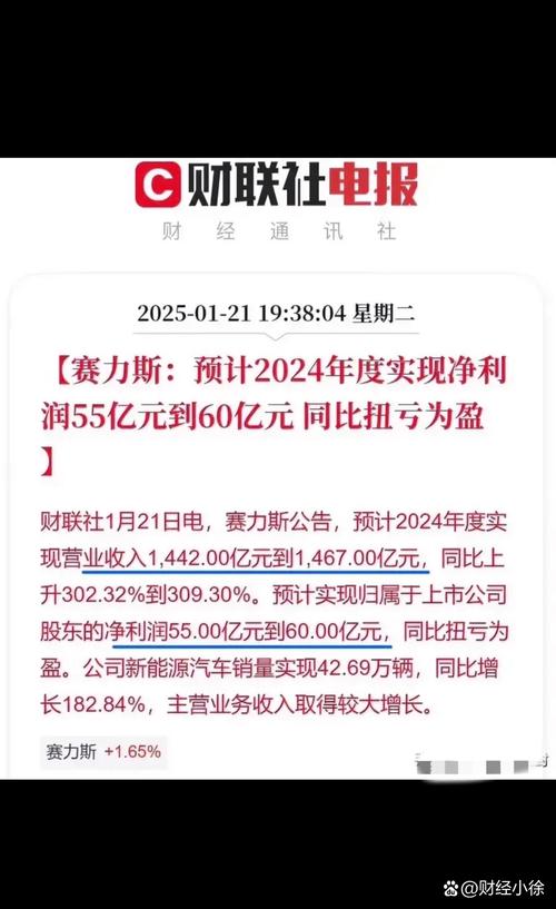賽力斯股票可以長期持有嗎
