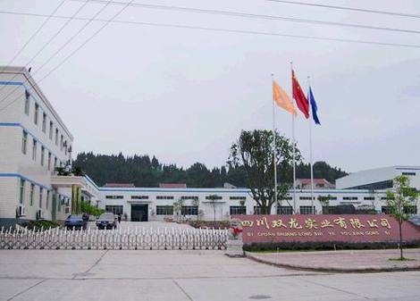 雙龍股份是什么公司